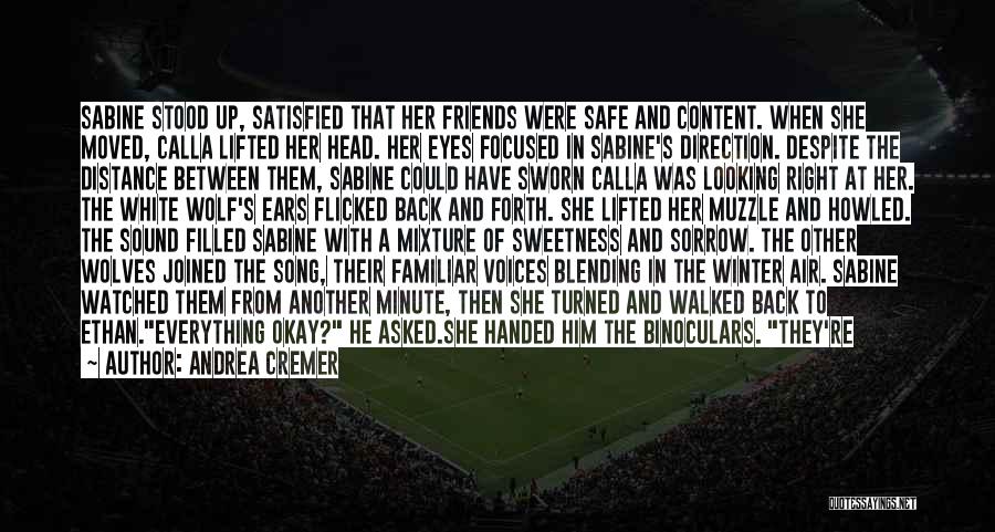 Andrea Cremer Quotes: Sabine Stood Up, Satisfied That Her Friends Were Safe And Content. When She Moved, Calla Lifted Her Head. Her Eyes