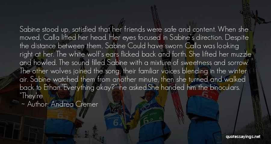 Andrea Cremer Quotes: Sabine Stood Up, Satisfied That Her Friends Were Safe And Content. When She Moved, Calla Lifted Her Head. Her Eyes