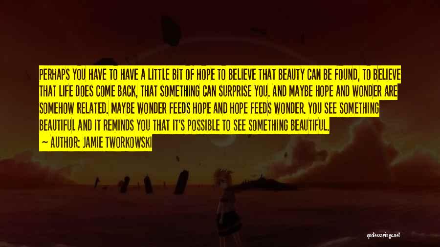 Jamie Tworkowski Quotes: Perhaps You Have To Have A Little Bit Of Hope To Believe That Beauty Can Be Found, To Believe That