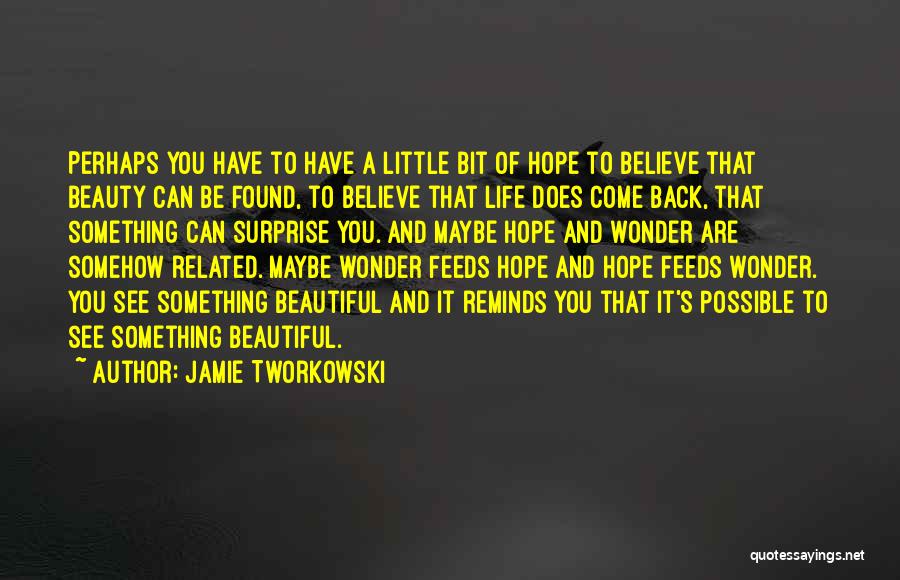 Jamie Tworkowski Quotes: Perhaps You Have To Have A Little Bit Of Hope To Believe That Beauty Can Be Found, To Believe That