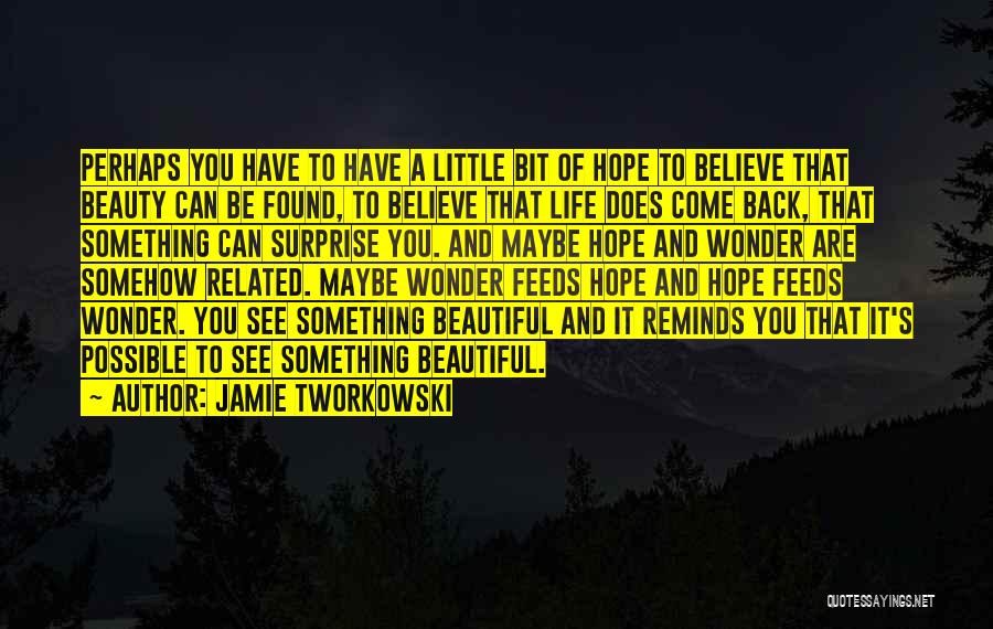Jamie Tworkowski Quotes: Perhaps You Have To Have A Little Bit Of Hope To Believe That Beauty Can Be Found, To Believe That
