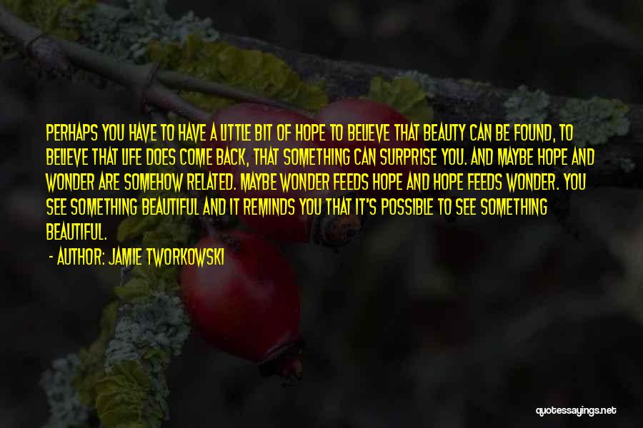 Jamie Tworkowski Quotes: Perhaps You Have To Have A Little Bit Of Hope To Believe That Beauty Can Be Found, To Believe That
