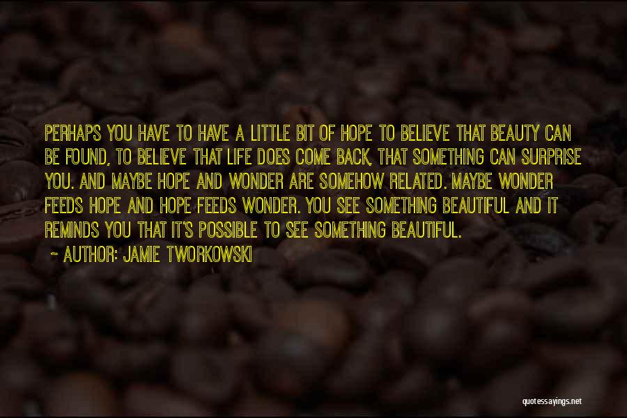 Jamie Tworkowski Quotes: Perhaps You Have To Have A Little Bit Of Hope To Believe That Beauty Can Be Found, To Believe That