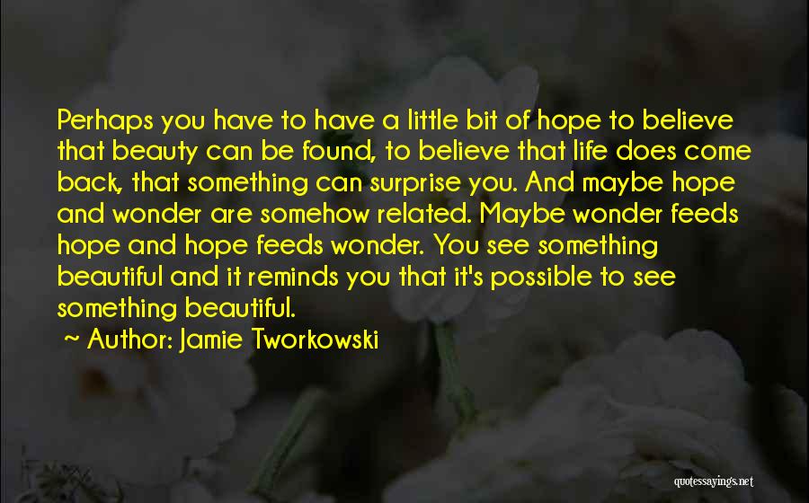 Jamie Tworkowski Quotes: Perhaps You Have To Have A Little Bit Of Hope To Believe That Beauty Can Be Found, To Believe That
