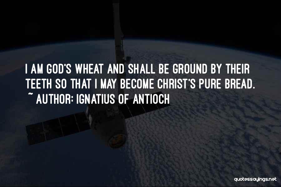 Ignatius Of Antioch Quotes: I Am God's Wheat And Shall Be Ground By Their Teeth So That I May Become Christ's Pure Bread.