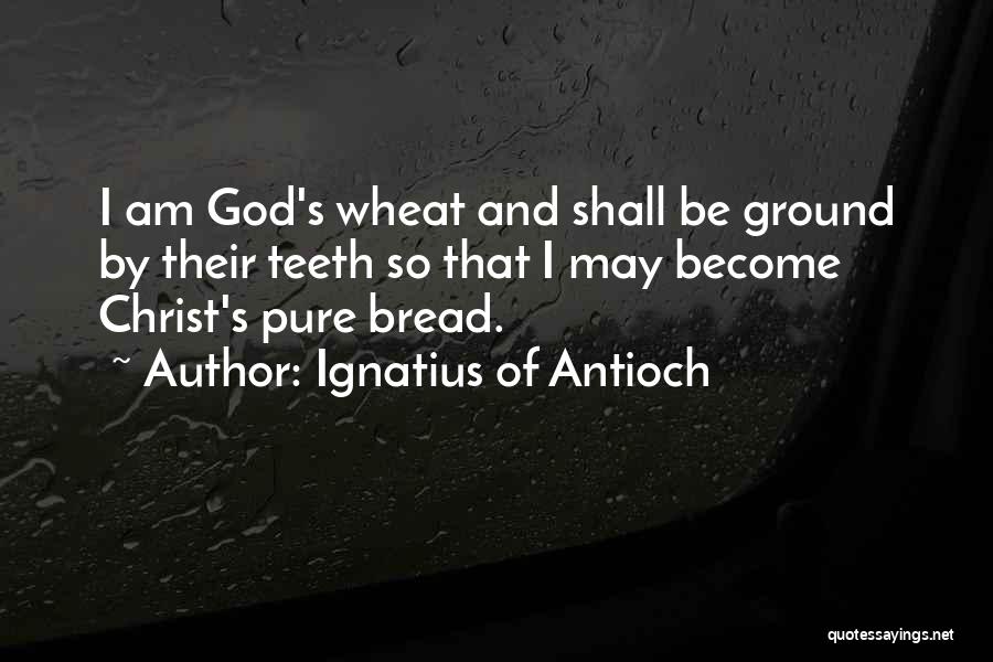 Ignatius Of Antioch Quotes: I Am God's Wheat And Shall Be Ground By Their Teeth So That I May Become Christ's Pure Bread.