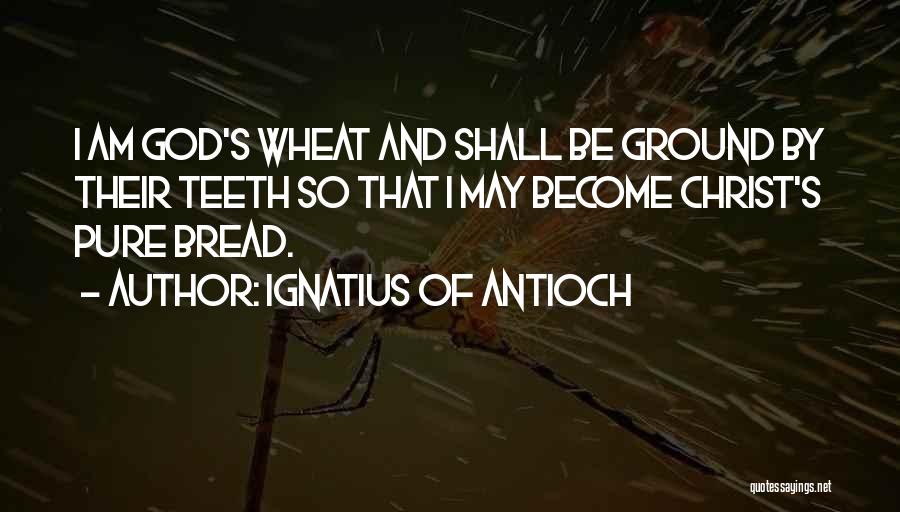 Ignatius Of Antioch Quotes: I Am God's Wheat And Shall Be Ground By Their Teeth So That I May Become Christ's Pure Bread.