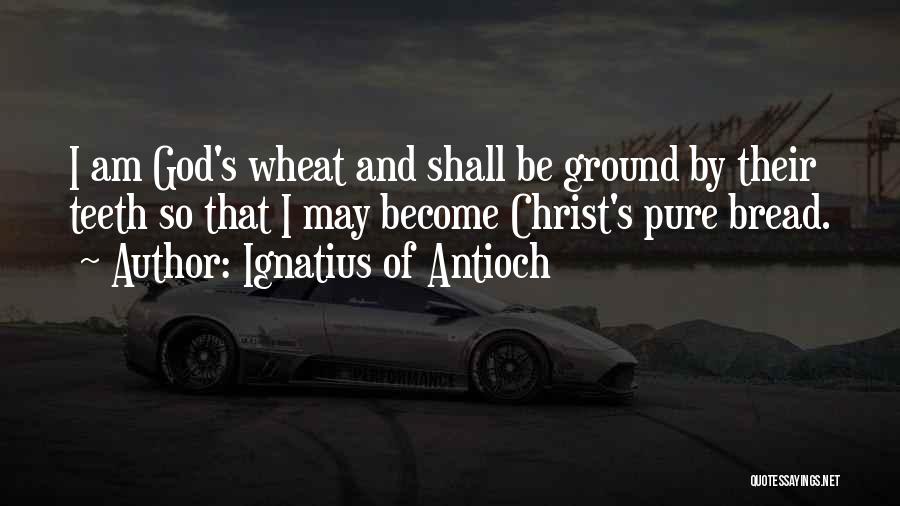 Ignatius Of Antioch Quotes: I Am God's Wheat And Shall Be Ground By Their Teeth So That I May Become Christ's Pure Bread.