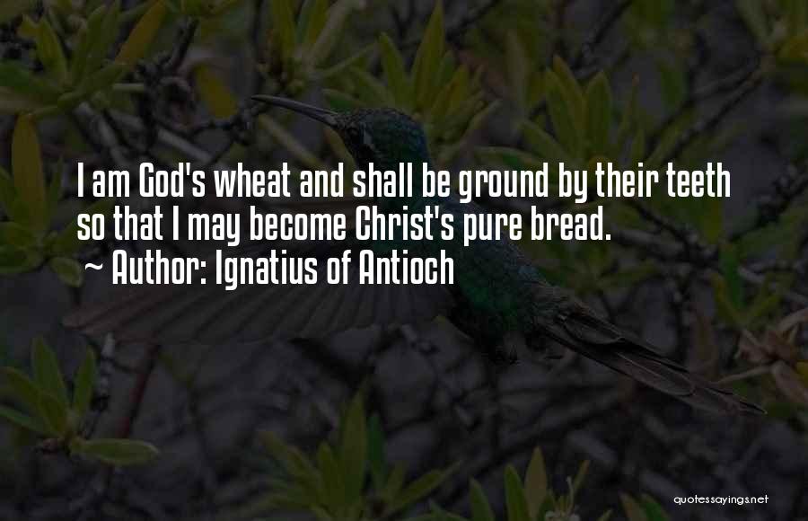 Ignatius Of Antioch Quotes: I Am God's Wheat And Shall Be Ground By Their Teeth So That I May Become Christ's Pure Bread.