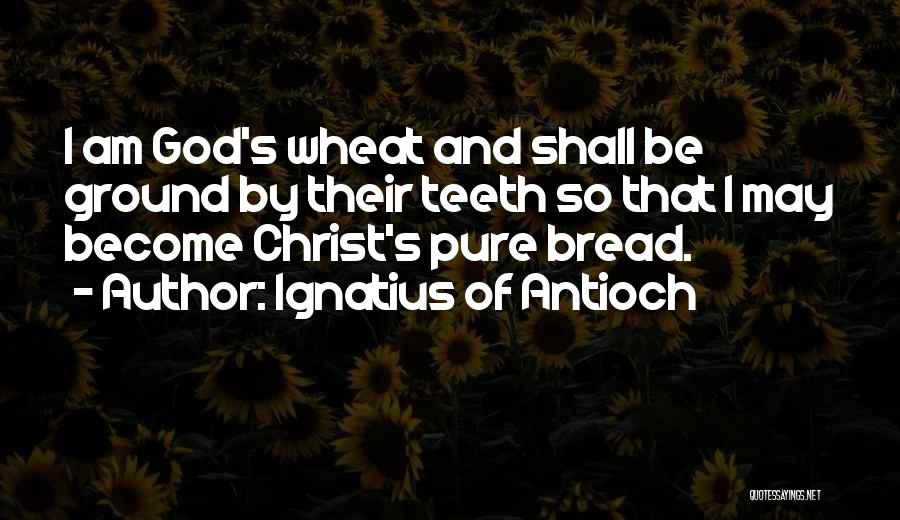 Ignatius Of Antioch Quotes: I Am God's Wheat And Shall Be Ground By Their Teeth So That I May Become Christ's Pure Bread.