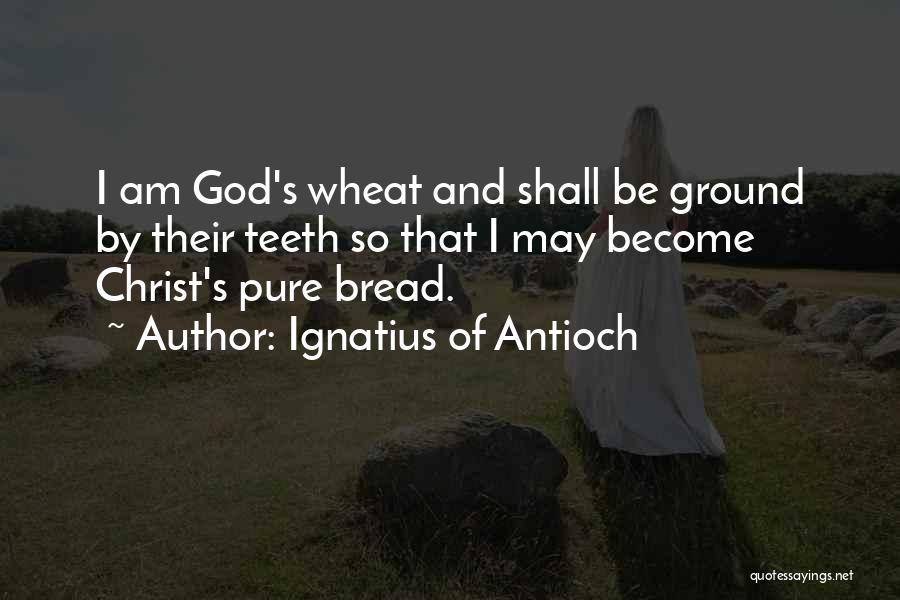 Ignatius Of Antioch Quotes: I Am God's Wheat And Shall Be Ground By Their Teeth So That I May Become Christ's Pure Bread.