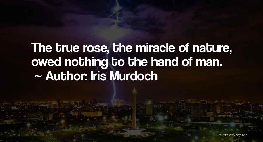 Iris Murdoch Quotes: The True Rose, The Miracle Of Nature, Owed Nothing To The Hand Of Man.