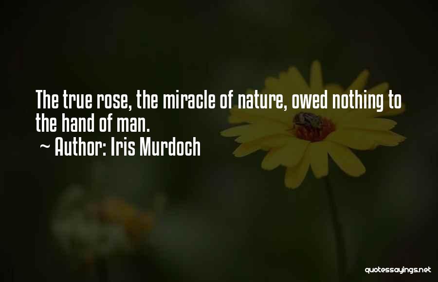Iris Murdoch Quotes: The True Rose, The Miracle Of Nature, Owed Nothing To The Hand Of Man.