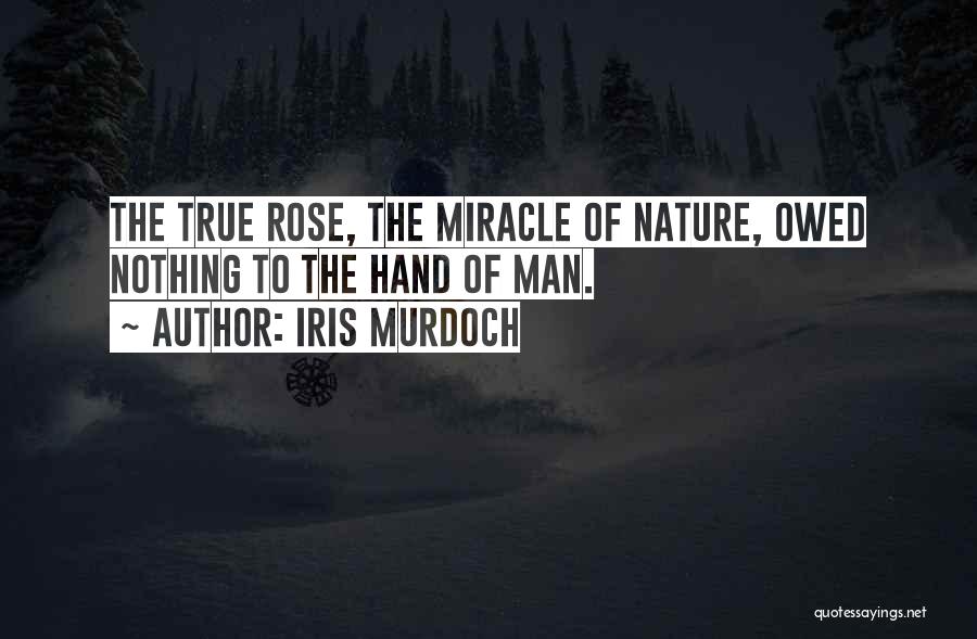 Iris Murdoch Quotes: The True Rose, The Miracle Of Nature, Owed Nothing To The Hand Of Man.