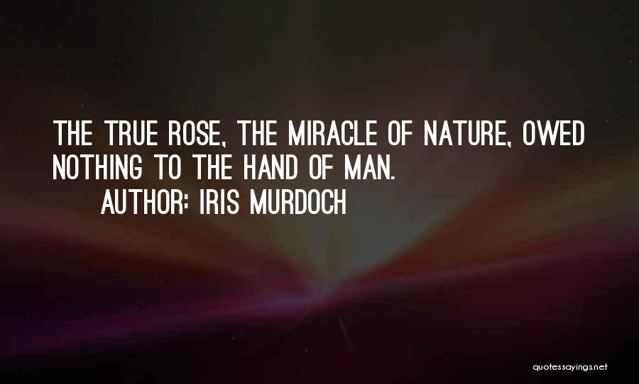 Iris Murdoch Quotes: The True Rose, The Miracle Of Nature, Owed Nothing To The Hand Of Man.