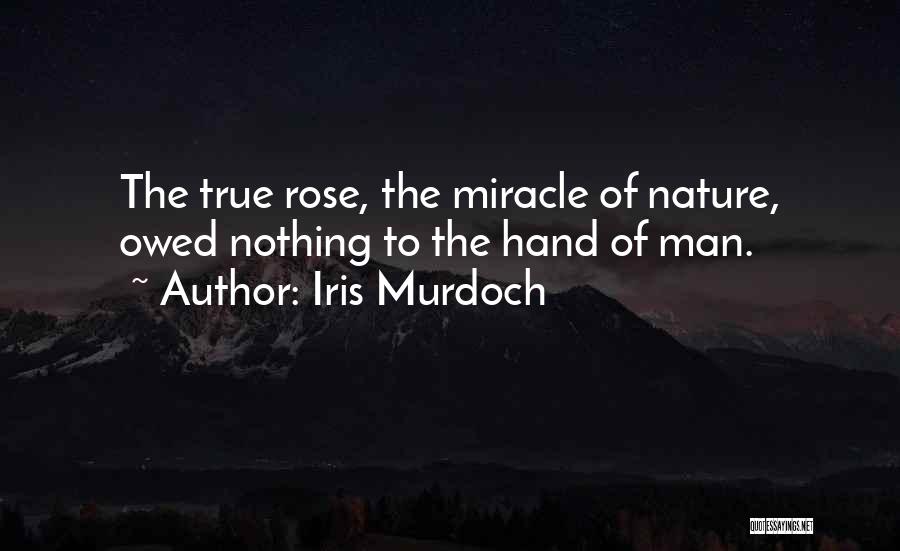 Iris Murdoch Quotes: The True Rose, The Miracle Of Nature, Owed Nothing To The Hand Of Man.