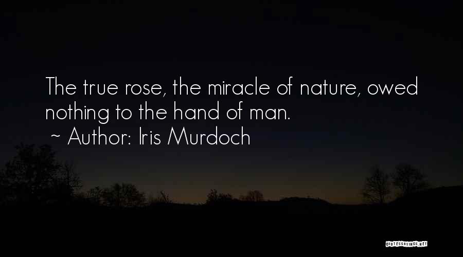 Iris Murdoch Quotes: The True Rose, The Miracle Of Nature, Owed Nothing To The Hand Of Man.