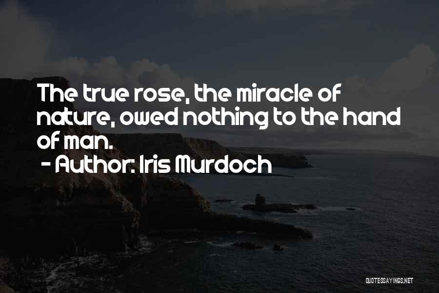Iris Murdoch Quotes: The True Rose, The Miracle Of Nature, Owed Nothing To The Hand Of Man.