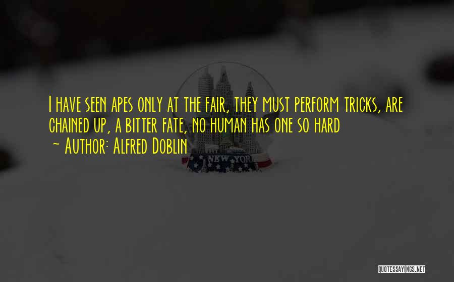 Alfred Doblin Quotes: I Have Seen Apes Only At The Fair, They Must Perform Tricks, Are Chained Up, A Bitter Fate, No Human