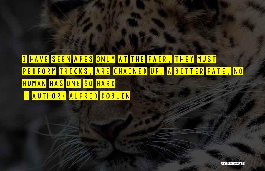 Alfred Doblin Quotes: I Have Seen Apes Only At The Fair, They Must Perform Tricks, Are Chained Up, A Bitter Fate, No Human