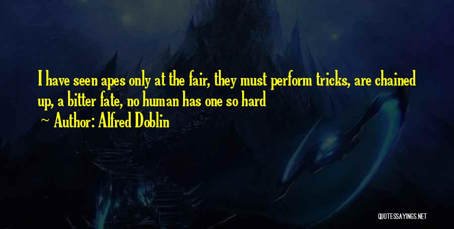 Alfred Doblin Quotes: I Have Seen Apes Only At The Fair, They Must Perform Tricks, Are Chained Up, A Bitter Fate, No Human