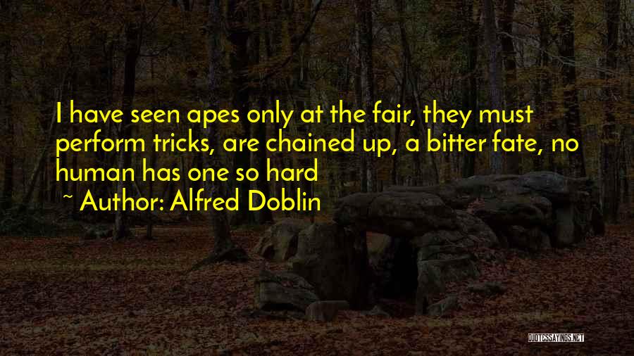 Alfred Doblin Quotes: I Have Seen Apes Only At The Fair, They Must Perform Tricks, Are Chained Up, A Bitter Fate, No Human