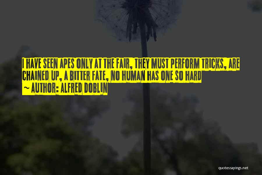 Alfred Doblin Quotes: I Have Seen Apes Only At The Fair, They Must Perform Tricks, Are Chained Up, A Bitter Fate, No Human