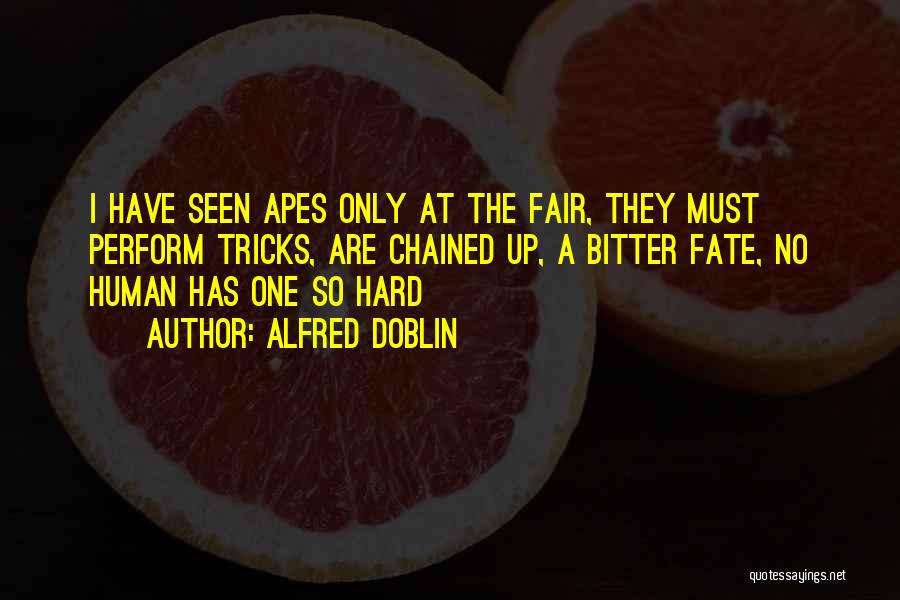 Alfred Doblin Quotes: I Have Seen Apes Only At The Fair, They Must Perform Tricks, Are Chained Up, A Bitter Fate, No Human