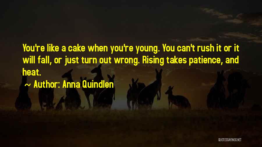 Anna Quindlen Quotes: You're Like A Cake When You're Young. You Can't Rush It Or It Will Fall, Or Just Turn Out Wrong.