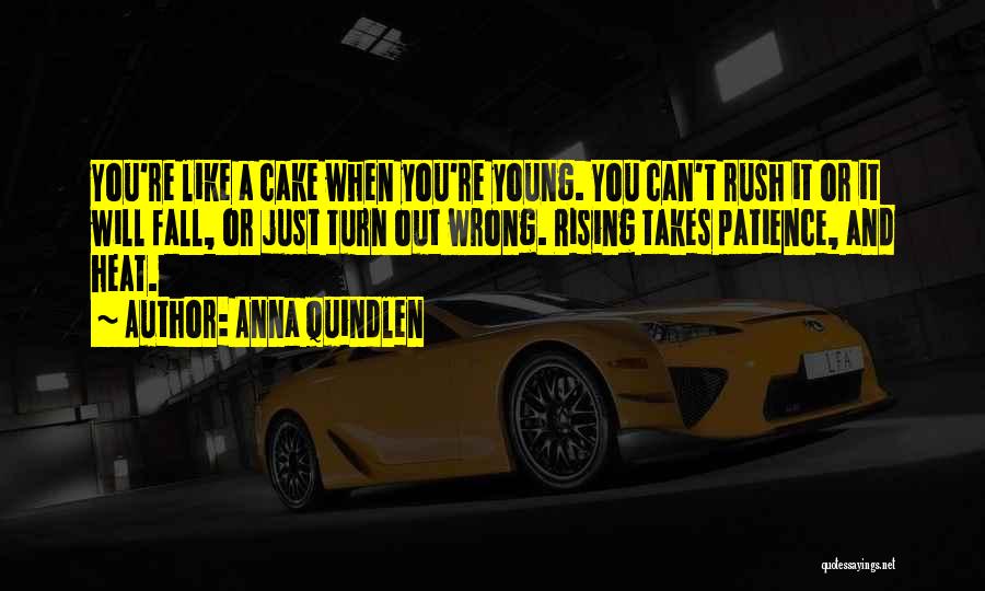 Anna Quindlen Quotes: You're Like A Cake When You're Young. You Can't Rush It Or It Will Fall, Or Just Turn Out Wrong.