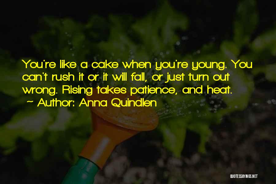 Anna Quindlen Quotes: You're Like A Cake When You're Young. You Can't Rush It Or It Will Fall, Or Just Turn Out Wrong.