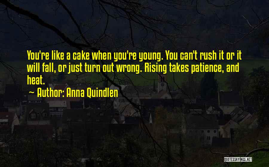 Anna Quindlen Quotes: You're Like A Cake When You're Young. You Can't Rush It Or It Will Fall, Or Just Turn Out Wrong.