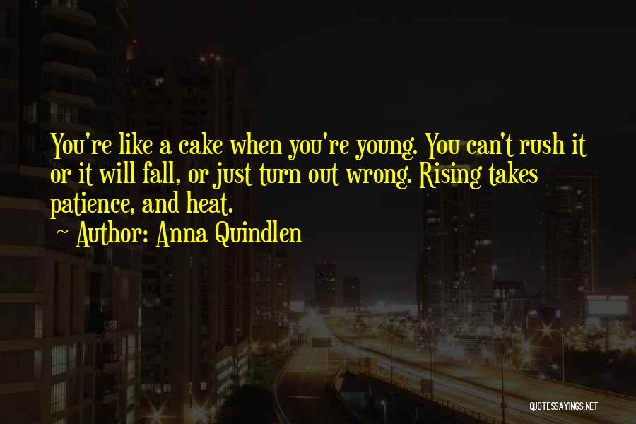 Anna Quindlen Quotes: You're Like A Cake When You're Young. You Can't Rush It Or It Will Fall, Or Just Turn Out Wrong.