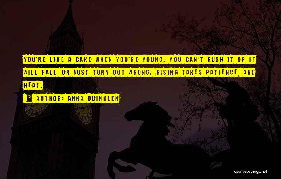 Anna Quindlen Quotes: You're Like A Cake When You're Young. You Can't Rush It Or It Will Fall, Or Just Turn Out Wrong.