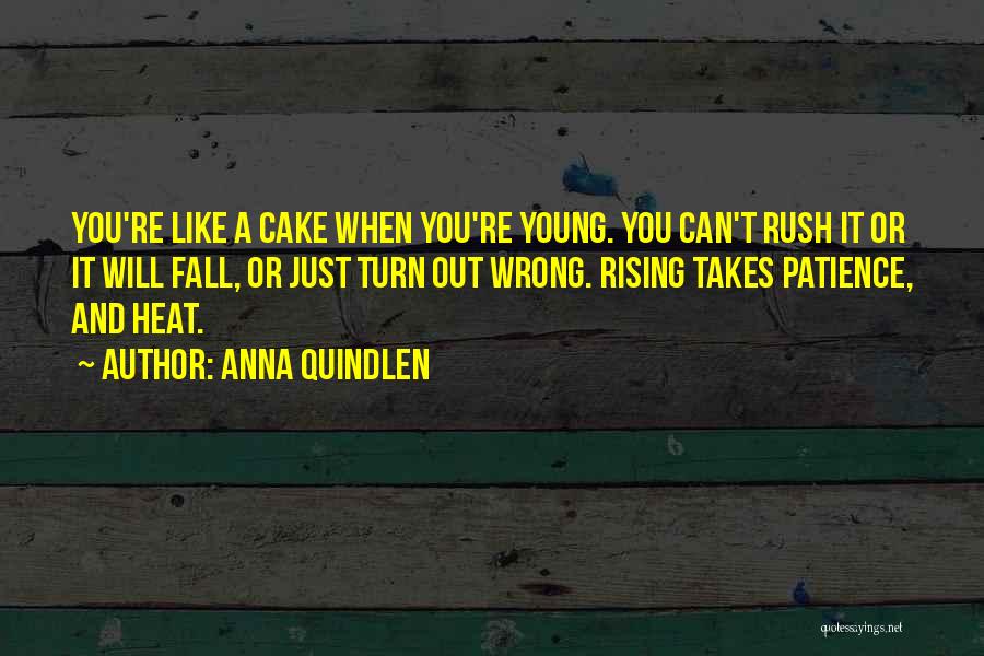 Anna Quindlen Quotes: You're Like A Cake When You're Young. You Can't Rush It Or It Will Fall, Or Just Turn Out Wrong.