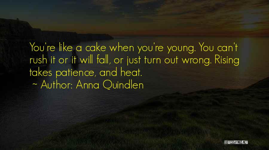 Anna Quindlen Quotes: You're Like A Cake When You're Young. You Can't Rush It Or It Will Fall, Or Just Turn Out Wrong.