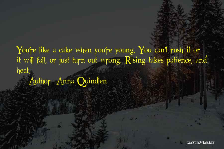 Anna Quindlen Quotes: You're Like A Cake When You're Young. You Can't Rush It Or It Will Fall, Or Just Turn Out Wrong.