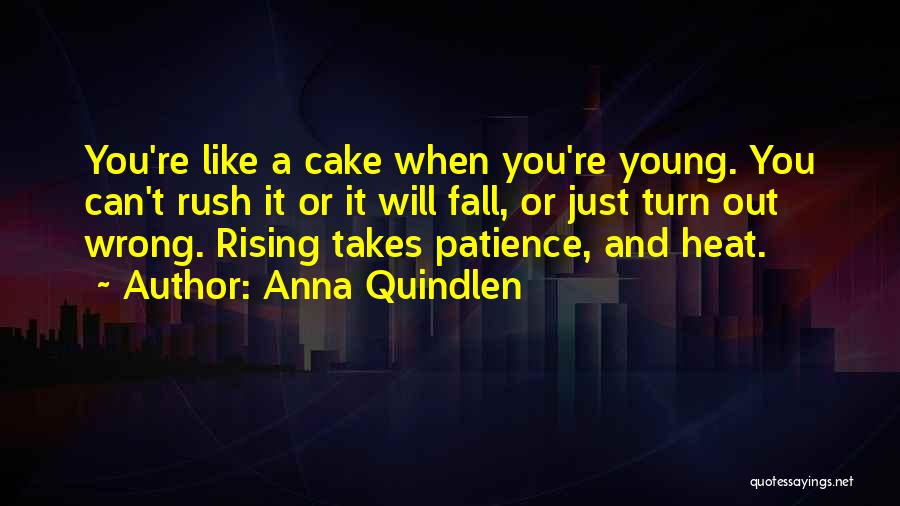 Anna Quindlen Quotes: You're Like A Cake When You're Young. You Can't Rush It Or It Will Fall, Or Just Turn Out Wrong.