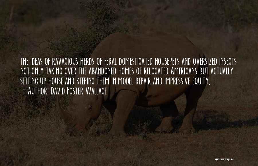 David Foster Wallace Quotes: The Ideas Of Ravacious Herds Of Feral Domesticated Housepets And Oversized Insects Not Only Taking Over The Abandoned Homes Of