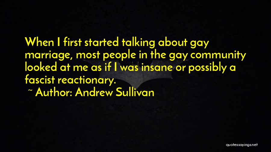 Andrew Sullivan Quotes: When I First Started Talking About Gay Marriage, Most People In The Gay Community Looked At Me As If I