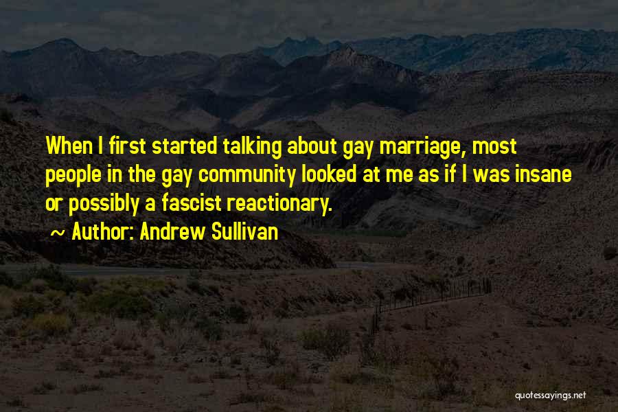 Andrew Sullivan Quotes: When I First Started Talking About Gay Marriage, Most People In The Gay Community Looked At Me As If I