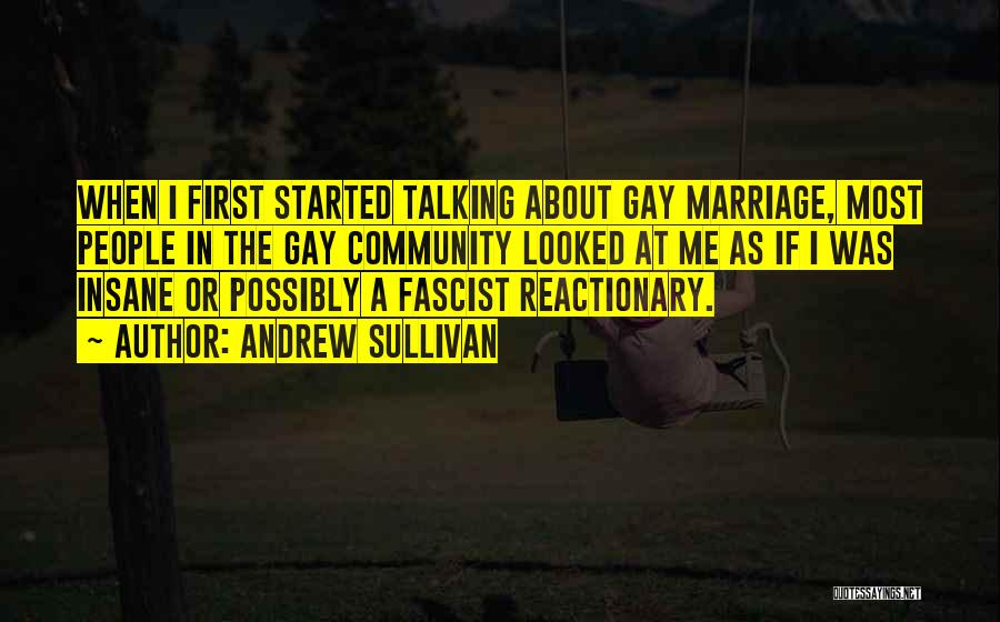 Andrew Sullivan Quotes: When I First Started Talking About Gay Marriage, Most People In The Gay Community Looked At Me As If I