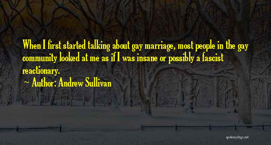 Andrew Sullivan Quotes: When I First Started Talking About Gay Marriage, Most People In The Gay Community Looked At Me As If I