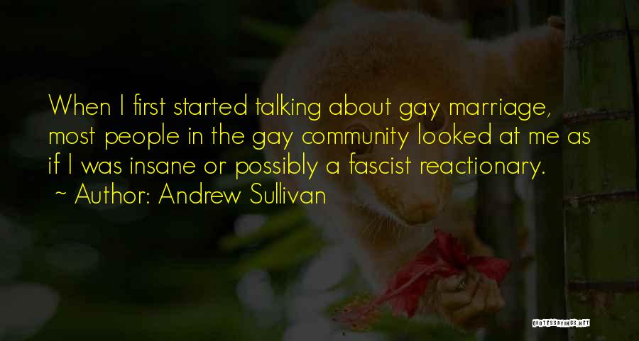 Andrew Sullivan Quotes: When I First Started Talking About Gay Marriage, Most People In The Gay Community Looked At Me As If I