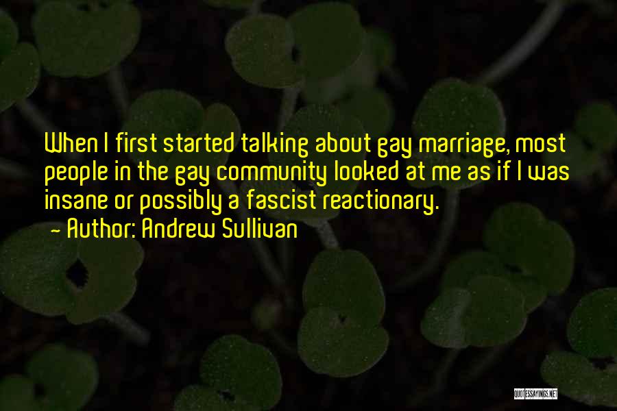 Andrew Sullivan Quotes: When I First Started Talking About Gay Marriage, Most People In The Gay Community Looked At Me As If I