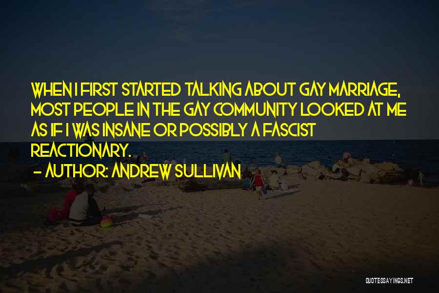 Andrew Sullivan Quotes: When I First Started Talking About Gay Marriage, Most People In The Gay Community Looked At Me As If I