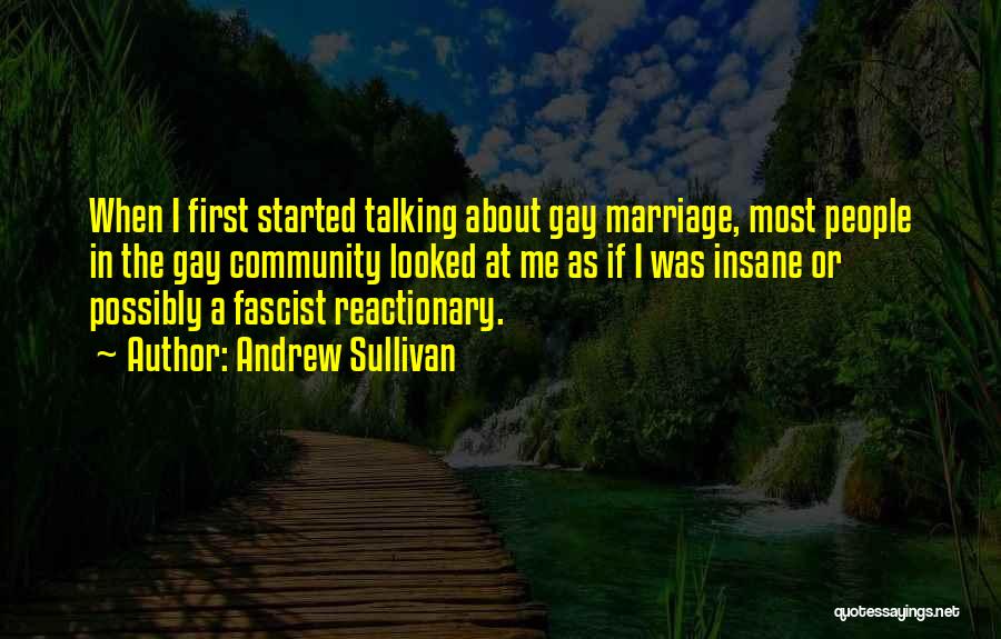 Andrew Sullivan Quotes: When I First Started Talking About Gay Marriage, Most People In The Gay Community Looked At Me As If I