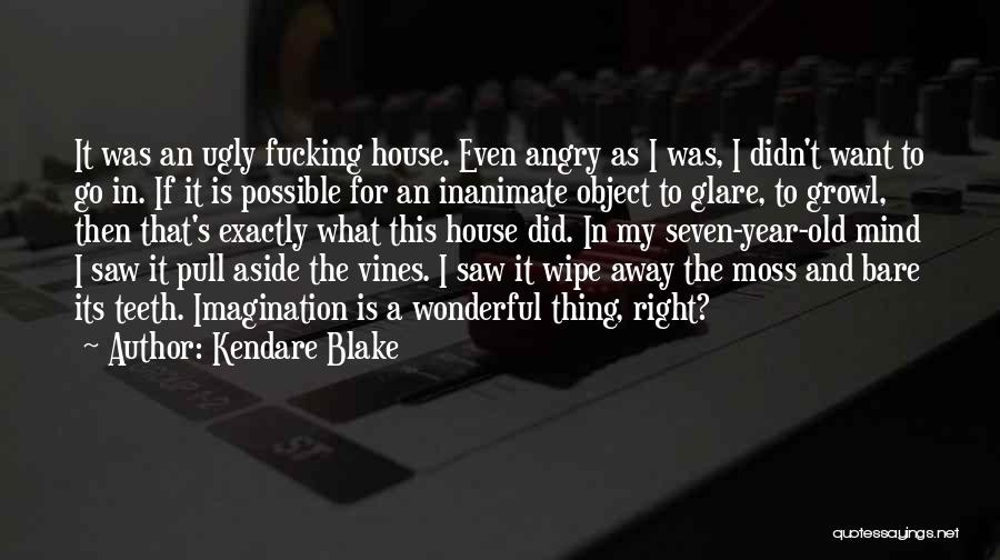 Kendare Blake Quotes: It Was An Ugly Fucking House. Even Angry As I Was, I Didn't Want To Go In. If It Is