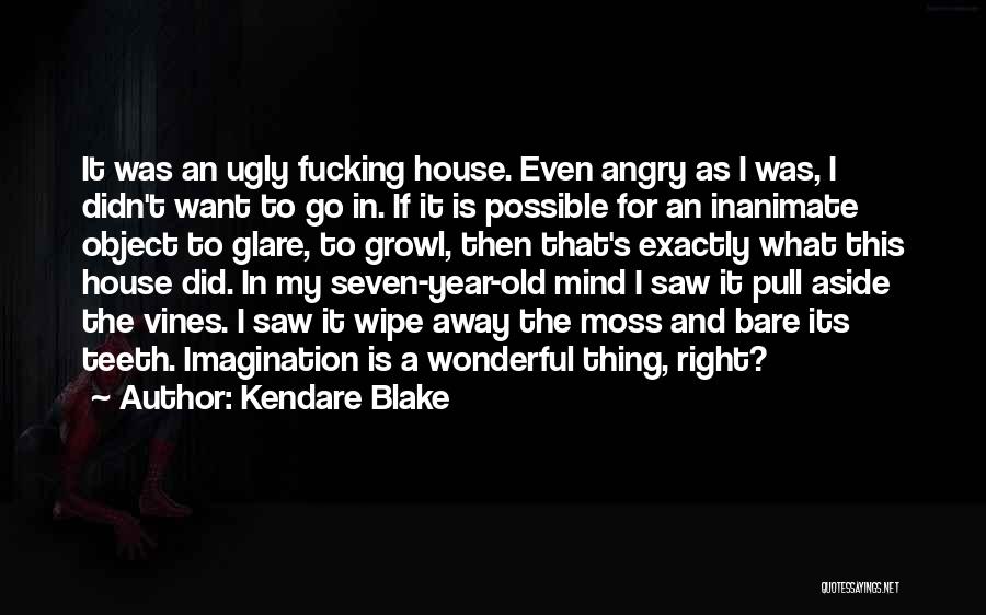 Kendare Blake Quotes: It Was An Ugly Fucking House. Even Angry As I Was, I Didn't Want To Go In. If It Is