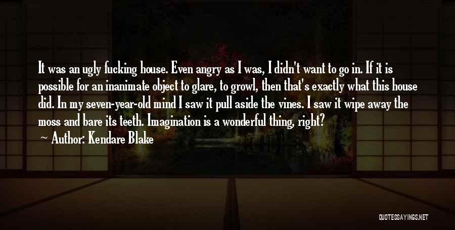 Kendare Blake Quotes: It Was An Ugly Fucking House. Even Angry As I Was, I Didn't Want To Go In. If It Is